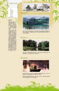绘画艺术网 18页面15页面  国粹书画文化艺术主题 带设计说明 图片轮播