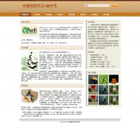 端午节 单页面 中国传统节日-端午节 粽子节 端阳节 带背景音乐