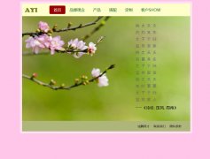 AYI-爱依服饰品牌网 5页面 企业公司品牌介绍展示主题