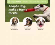 Doggie Rehab 2页面 外文英文版本 狗狗宠物主题 带psd 联系表单
