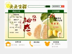 天天生鲜 单页面（3页面） 新鲜水果蔬菜海鲜肉类电商主题 带PSD