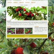 慈溪杨梅网 单页面 地方特色水果介绍 简单版 带文字滚动