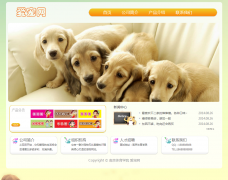 爱宠网 2页面 宠物官网 带flash轮播 带psd源文件