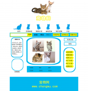宠物网3页面 带视频 注册页