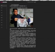 我的新闻视角 10页面 新闻门户网站 简单版本