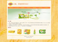 立顿，开始英伦生活 9页面 奶茶冰茶红茶品牌企业 带设计说明 flash轮播 asp+access 注册登录功能