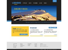罗尔捷思 LOGIOUS 3页面 全球洞察Global Insight 咨询公司 三级页面结构
