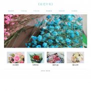 《植觉印象》 单页面 干花主题  带设计说明 js轮播特效