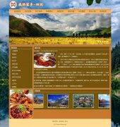我的家乡-四川 南充 9页面 带设计说明 JS轮播特效 时间代码 背景音乐 滚动图片