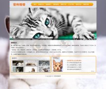 宠物猫猫网 14页面 带背景音乐 JS轮播特效 Flash动画 表格 下拉菜单 问卷表单 iflame框架
