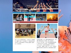 排球 5页面  球类体育运动项目之一