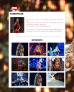 维多利亚的秘密  7页面 Victoria's Secret 美国连锁女性成衣零售品牌 带留言表单