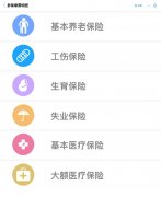 参保缴费明细 3页面 仿社保官网手机版页面  带点击展开收缩特效