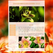 百合花 6页面 百合科百合属多年生草本球根植物 花卉科普主题 带设计说明 