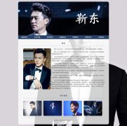 靳东 7页面  明星介绍  带设计说明 留言表单