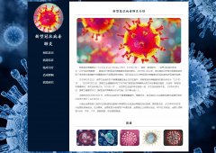 新型冠状病毒肺炎 5页面 热点肺炎疫情主题 新冠病毒科普介绍 