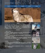 西伯利亚雪橇犬-哈士奇 宠物狗二哈 9页面  html5+css3 布局   带设计说明 JQuery图片