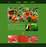 枸杞 3页面 枸杞属植物 html5+css3布局 带JQuery图片轮播特效