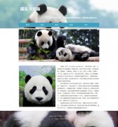 国宝-大熊猫 5页面 哺乳动物科普主题  带设计说明 JS图片轮播特效