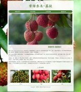 常绿乔木-荔枝 4页面 植物水果介绍 media screen HTML5 响应式布局  带设计说明 轮播