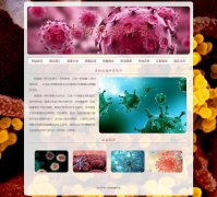 生物病毒科普 11页面 新冠病毒疫情介绍 HTML5+CSS3布局 带设计说明 JS轮播特效 