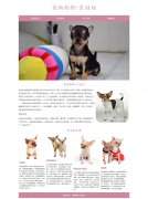 宠物狗狗-吉娃娃 4页面 HTML5  动物宠物主题 带设计说明 