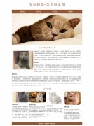 宠物猫猫-英国短毛猫 4页面 HTML5 动物宠物主题 带设计说明 