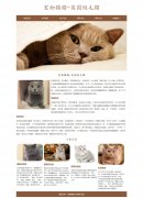 宠物猫猫-英国短毛猫 6页面 HTML5 动物宠物主题 带设计说明 