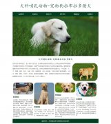 犬科哺乳动物-宠物狗拉布拉多猎犬 6页面 HTML5 动物宠物主题 带设计说明 