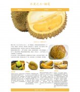 水果之王-榴莲  4页面 植物水果科普主题 HTML5 带设计说明 