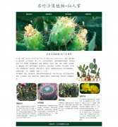 石竹沙漠植物-仙人掌  4页面 植物水果科普主题 HTML5 带设计说明 