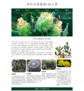 石竹沙漠植物-仙人掌 6页面 植物水果科普主题 HTML5 带设计说明 