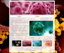 生物病毒科普 2页面 新冠病毒疫情介绍 HTML5+CSS3布局 带设计说明 JS轮播特效