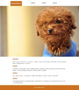 宠物狗狗-泰迪贵宾犬 3页面  动物宠物主题 带设计说明 