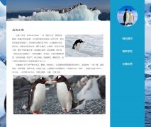 南极企鹅 3页面 动物科普主题 带设计说明 