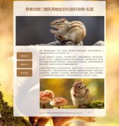 松鼠 3页面   动物科普主题 