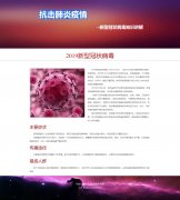 抗击肺炎疫情 单页面 新型冠状病毒知识讲解