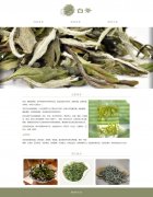 白茶 3页面 茶叶介绍  带jquery图片轮播特效 设计说明 