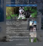 西伯利亚雪橇犬-哈士奇 宠物狗二哈 9页面 html5+css3 布局  带设计说明 JQuery图片