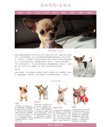宠物狗狗-吉娃娃 9页面 HTML5 动物宠物主题 带设计说明 JQuery图片轮播特效 注册