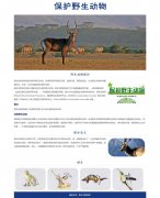 野生动物保护 单页面 公益主题 HTML5  带设计说明 JQuery图片轮播特效 