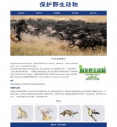 野生动物保护 5页面 公益主题 HTML5  带设计说明 JQuery图片轮播特效 留言页面 表