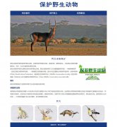 野生动物保护 3页面 公益主题 HTML5  带设计说明 JQuery图片轮播特效
