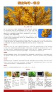 濒危物种-银杏 单页面 植物科普 Html5  带设计说明 jquery图片轮播特效 