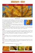濒危物种-银杏 3页面 植物科普 Html5  带设计说明 jquery图片轮播特效