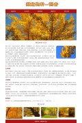 濒危物种-银杏 5页面 植物科普 Html5  带设计说明 jquery图片轮播特效 留言页面