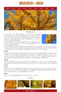 濒危物种-银杏 9页面 植物科普 Html5  带设计说明 jquery图片轮播特效 注册登录留