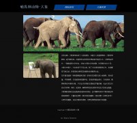 哺乳纲动物-大象 2页面 动物科普主题