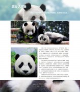 国宝-大熊猫 单页面 哺乳动物科普主题 带JS图片轮播特效