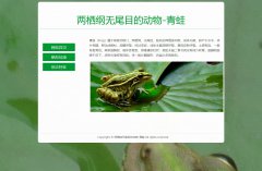 青蛙 3页面 两栖纲无尾目的动物 动物科普主题